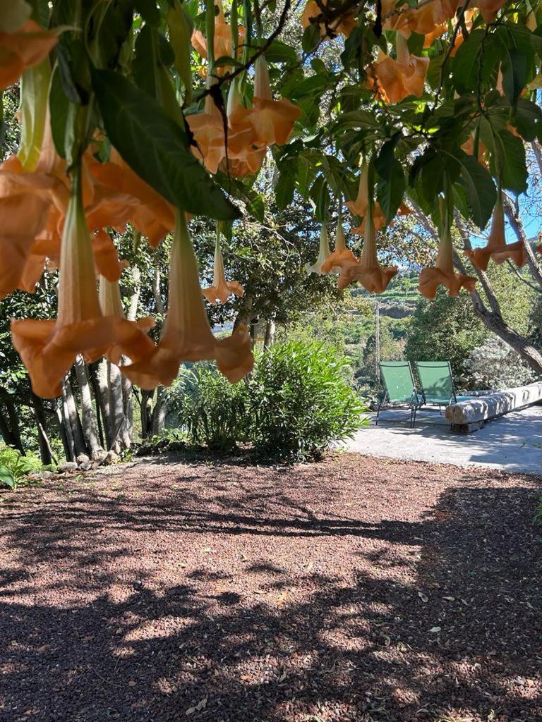 La Casita Del Lagar Βίλα Cerrogordo Εξωτερικό φωτογραφία